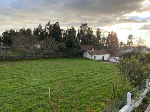 Urban land to buy with 2000m2 of total area. Feasibility of building one or two townhouses. In the tranquility of the countryside and less than 3 minutes from the city center, very well located, in a privileged area of housing, where it is growing. A...