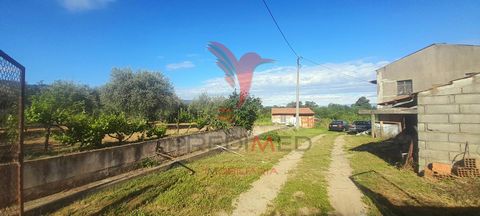 Dear Customer, I am delighted to introduce you to this charming Quinta do Prado, located in the Parish of Alcaide. This farm excels in good access, great sun exposure and privacy. We have a housing (urban article) designated as Typology T2, of 2 floo...