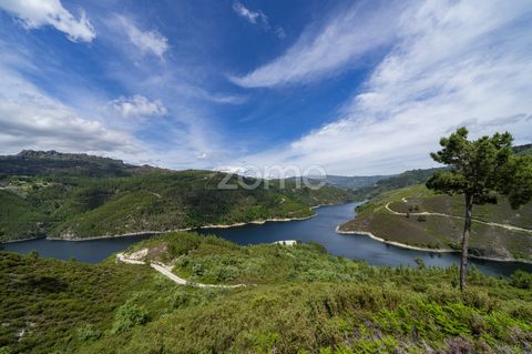 Identificação do imóvel: ZMPT557571 Plot with 24,500 m2 on the Riverbank in Vieira do Minho! This property has 24,500 m2 of land area and about 90 m2 of Cávado River bank. It stands out for its excellent sun exposure, spring water and its harmonious ...