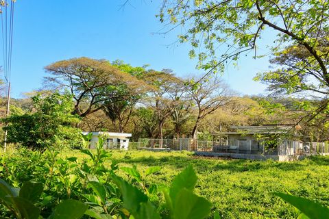 Hervorragendes Grundstück in hervorragender Lage. Ein Paradies auf einem großen Grundstück voller Schönheit. Es ist bereit für die nächsten Besitzer. Dies ist ein ganz besonderes Anwesen, das eine großartige Lage in L Section, Nosara Guanacaste, hat,...