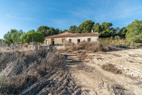In the middle of nature, in the Pinar de la Perdiz area, a short distance from the Lo Romero golf course and the Pinar de Campoverde Urbanization, in the municipality of Pilar de la Horada, is this rustic property with large spaces and a century-old ...