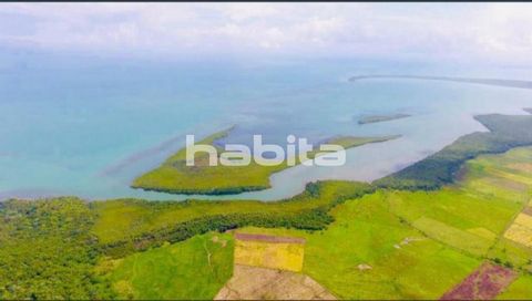 Preaproved permit for your development, can build 40% of the land. Good fit for marina, land is hilly, lots of beautiful mountain and ocean view villa, and 500 meters of beach