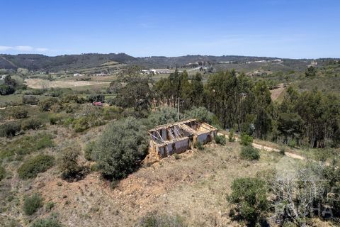 Who has ever had the dream of owning several hectares of land, feeling in the middle of nature and yet living very close to a city with a young, hip atmosphere? And at the same time being only about 15 minutes drive away from the Atlantic coast with ...