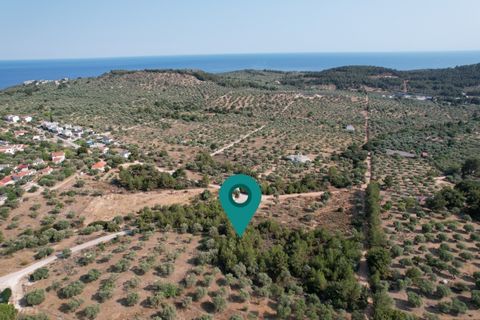 Property Code. 11382 - Plot FOR SALE in Thasos Astrida for €150.000 . Discover the features of this 5055 sq. m. Plot: Distance from sea 1100 meters, Facade length: 43 meters, depth: 100 meters Buildable plot of land with a total area of 5055 sq.m. in...