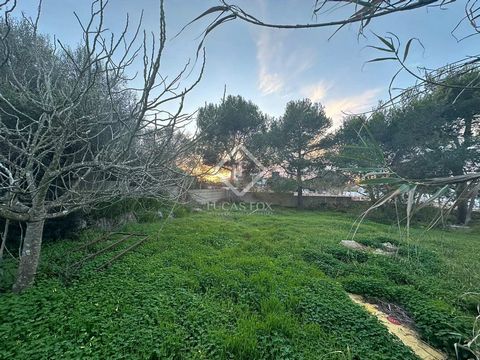 Lucas Fox presents this 411 m² corner plot in the Cala'n Porter development in the municipality of Alaior. The land is located in the centre of the development, a few minutes walk from the beach and close to all amenities, such as supermarkets, resta...