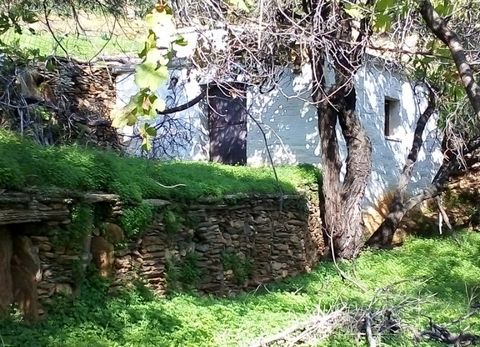 A vendre une parcelle de 8.000 m2. dans la région de K Ipsilou à Andros, constructible, près d’une route rurale. Il est clôturé et dispose de 2 sources d’eau, 2 réservoirs, citronniers, oranges, noix, olives, musulmans, prunes et une salle de stockag...