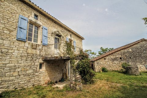 photo no. 4