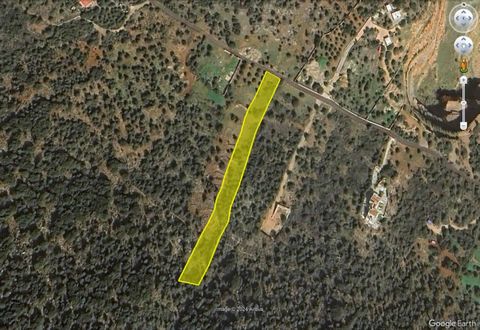 Located in Agios Nikolaos. Building plot of land of 4115 m2, nicely positioned in the outskirts of the cosmopolitan tourist town of Agios Nikolaos, approx. 200 meters above sea level, enjoying distant views of the town, the sea of the Mirabello Gulf ...