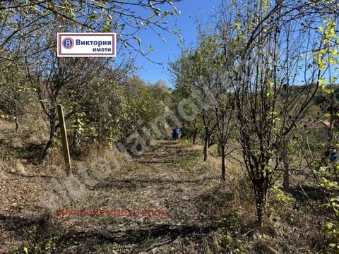 A vendre est un terrain panoramique dans le beau village balkanique de Gabrovtsi, niché dans les pentes pré-balkaniques des montagnes des Balkans, mais en même temps à seulement 4 km de la route principale reliant le nord et le sud de la Bulgarie et ...