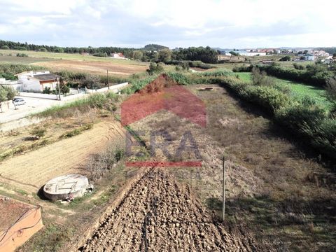 Land with 8120m2 with well and good access. Situated in a quiet village close to beaches and close to all services and about 45 minutes from Lisbon. *The information provided is for informational purposes only, non-binding, and does not preclude cons...