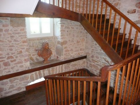 photo no. 9