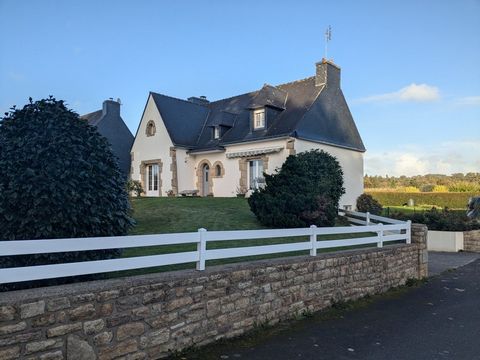 photo no. 2