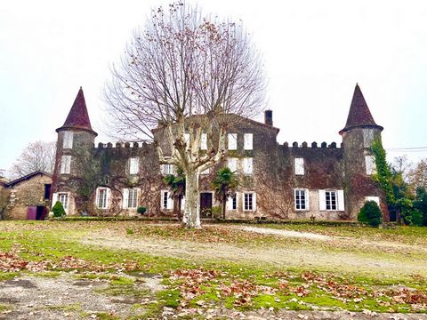 Découvrez ce magnifique château en plein coeur de la région d'Armagnac ! Avec ses 800 m2 d'élégance, il allie authenticité et raffinement, offrant de grands espaces de vie lumineux et majestueux. Ce domaine comprend également de vastes dépendances, p...