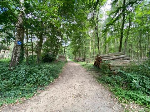 Welkom aan de Haardgrenzweg in Oer-Erkenschwick! Wij stellen u graag voor aan dit uitzonderlijke perceel grond in het bos, gelegen in de felbegeerde buitenruimte. Op een ruime oppervlakte van in totaal 4942 vierkante meter wacht u een idyllische oase...