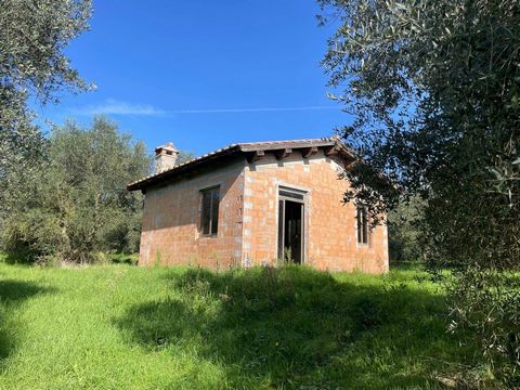 Il terreno in vendita si trova nella zona della Cassia Nord, Strada Montejugo, a pochi chilometri dal centro di Viterbo e confina con la via Francigena. Si estende su una superficie totale di circa 12.000 metri quadrati e presenta un profilo pianeggi...