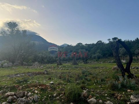 Vente d’un terrain : Muğla Seydikemer, Yakabağ Mahallesi Notre terrain à Muğla, dans le quartier de Seydikemer, sur la parcelle 113, parcelle 63, a une superficie totale de 2679 m² avec 2B Tapu. Couche: 60 km du centre de Fethiye 60 km du centre de K...