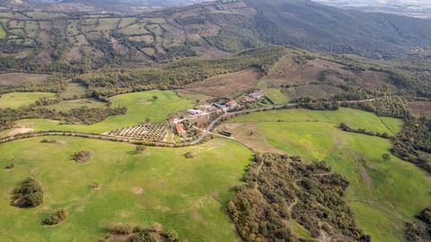 Strada Provinciale Ragnaie, Scansano Sur les collines verdoyantes et au cœur de la Maremme, cette ferme entourée d’un parc luxuriant et d’une oliveraie est à vendre dans la région de Case Sparse Poderuccio, dans la municipalité de Scansano. La propri...