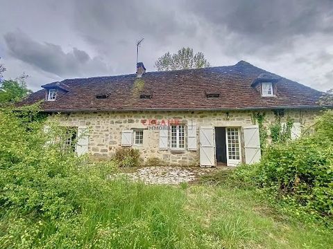 10 minutes from BEAULIEU-SUR-DORDOGNE and 10 minutes from MEYSSAC, in a quiet hamlet, on approximately 5783 m² of wooded land, consisting of a stone house (188 m²) and a converted old barn (76 m²) into a gîte. The main house (188 m² living space) is ...