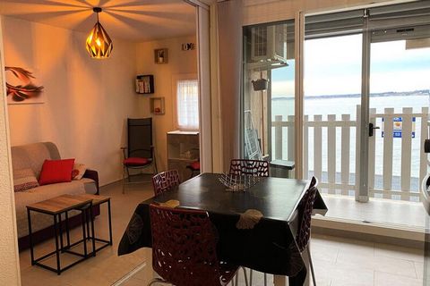 RESIDENCE LES FLAMANTES ROSES. Komplett renoviertes Apartment mit einem Schlafzimmer und einer Fläche von ca. 38 m², das von seiner Terrasse (mit einer Fläche von ca. 5 m²) einen atemberaubenden Blick auf die Lagune von Thau bietet. Sehr helle Unterk...