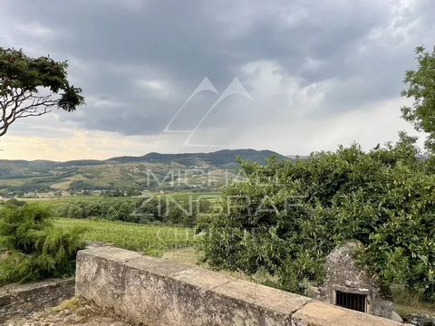 Situé aux premiers contreforts des Monts du Beaujolais, le Domaine est reconnu pour son approche durable et écologique de la viticulture, ainsi que pour sa vinification naturelle, permettant aux vins de révéler pleinement leur terroir. Le domaine s’é...