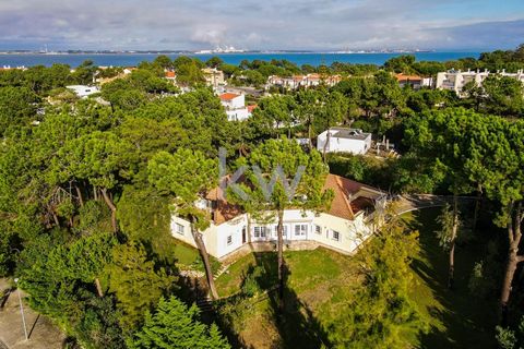 Fantástica Villa de 8 dormitorios con parcela de 1946 m2, ubicada en la urbanización Soltroia en la famosa península de Tróia. La villa está situada en una zona muy verde, rodeada de jardines y cerca de la playa. Ubicado en un terreno de 1.946 m2, co...