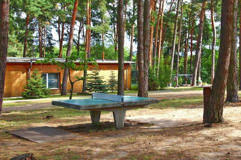 Cosy, small holiday village with a rustic restaurant in a wonderfully beautiful hillside location between 2 lakes and overlooking the water. A beautiful bathing area provides cooling on hot summer days. Petri Jünger takes advantage of the good fishin...