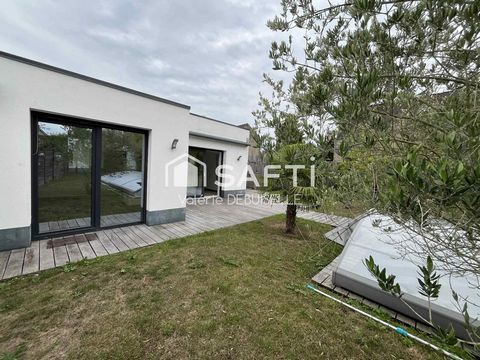 photo no. 12