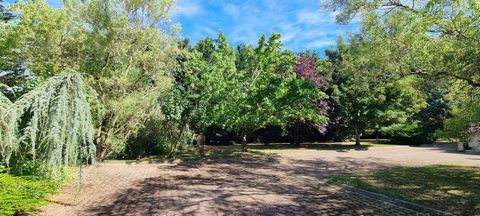 photo no. 14