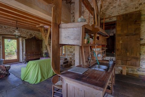 photo no. 14