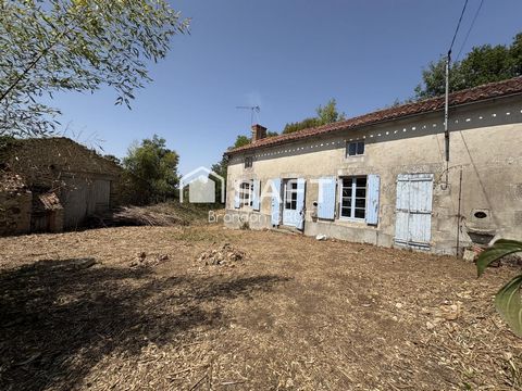 photo no. 1