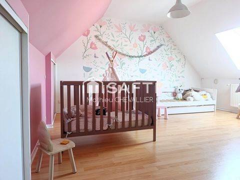 photo no. 11