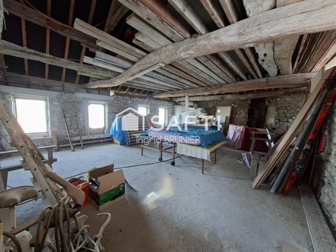 photo no. 13