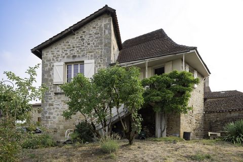photo no. 5