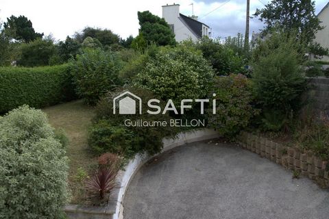 photo no. 11