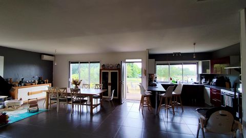 photo no. 13