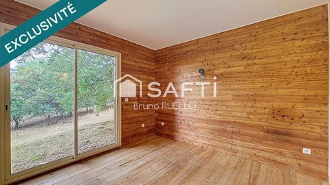 photo no. 13
