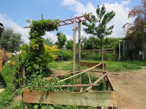 photo no. 14