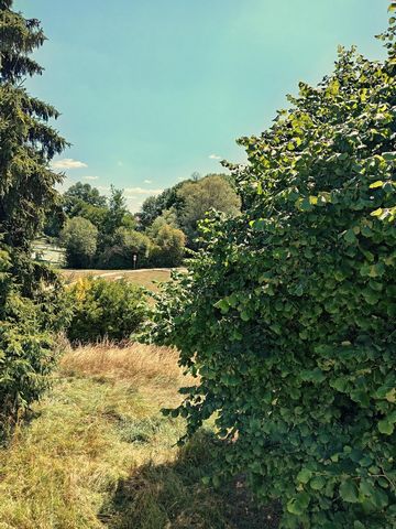 photo no. 9