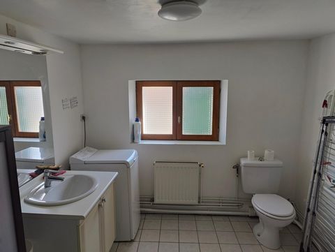 photo no. 8