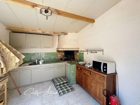 photo no. 10