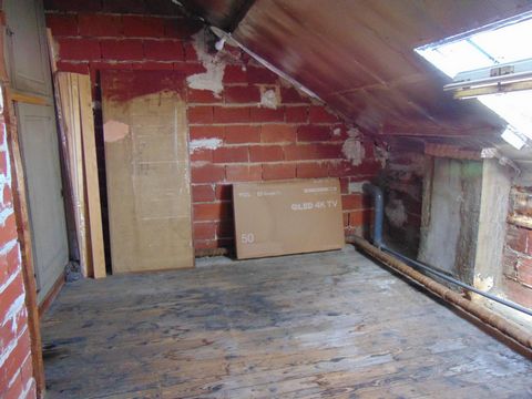 photo no. 11