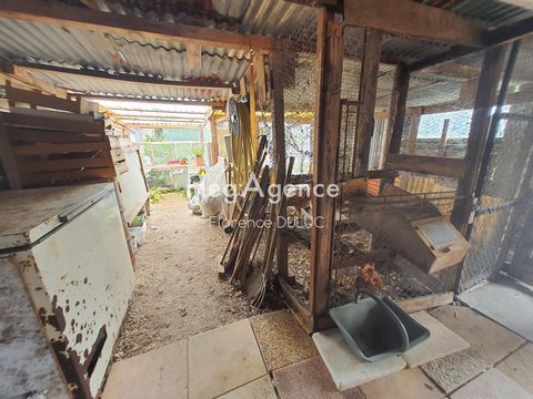 photo no. 1