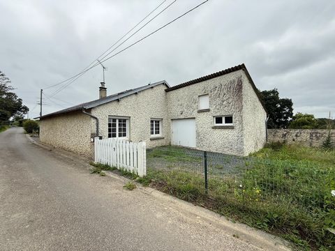 photo no. 9