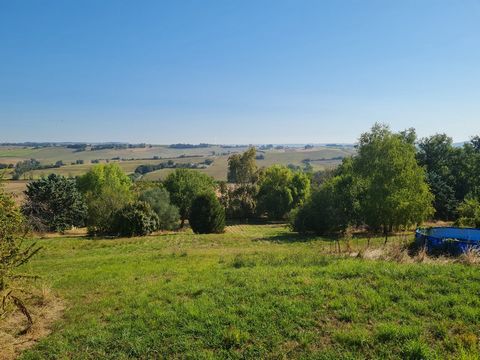 photo no. 8