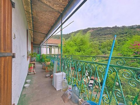 photo no. 4