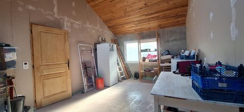 photo no. 9
