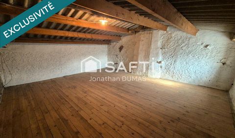 photo no. 11