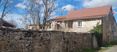 photo no. 4