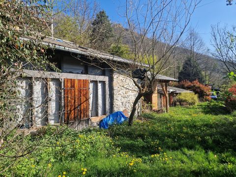 photo no. 17