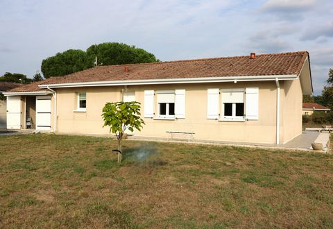 photo no. 13